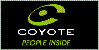 Coyote