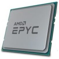 AMD 100-000000318