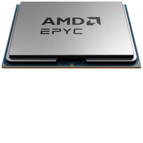 AMD 100-000001135