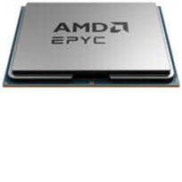 AMD 100-000001136