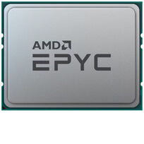 AMD 100-000001234