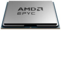 AMD 100-000001289