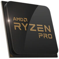 AMD 100-100000256MPK