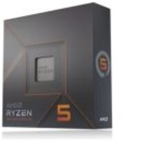 AMD 100-100000593WOF