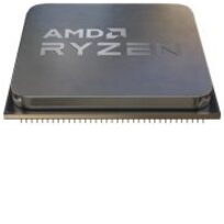 AMD 100-100000604MPK