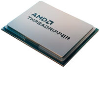 AMD 100-100001351WOF