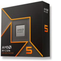 AMD 100-100001405WOF