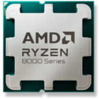 AMD 100-100001590BOX
