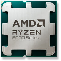 AMD 100-100001591MPK