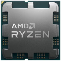 AMD 100-100001900MPK