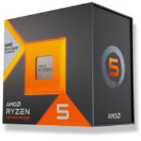 AMD 100-100001904WOF