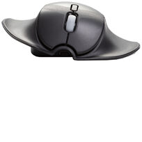 Bakker Elkhuizen BNEPS210RLW