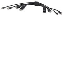 Belkin F1DN2CC-HHPP1T