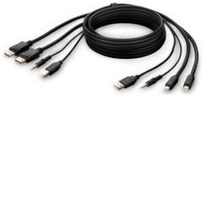 Belkin F1DN2CCBL-MP6T