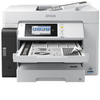 Epson C11CJ41405