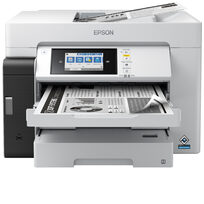 Epson C11CJ41409