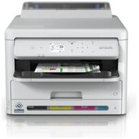 Epson C11CK25401