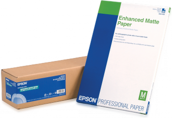 Epson C13S041595