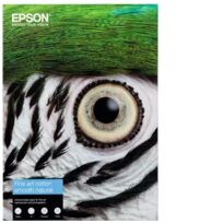 Epson C13S450267