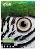 Epson C13S450274