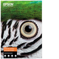 Epson C13S450290NQ