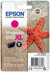 Epson C13T03A34010