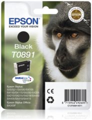 Epson C13T08914011