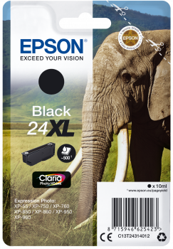 Epson C13T24314010