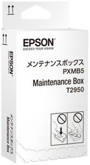 Epson C13T295000