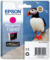 Epson C13T32434010