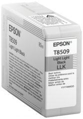 Epson C13T850900