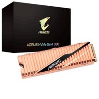 Gigabyte GP-ASM2NE6100TTTD