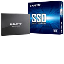 Gigabyte GP-GSTFS31100TNTD