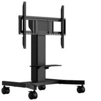 Iiyama MD CAR1021-B1