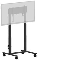 Iiyama MD-CAR2031-B1