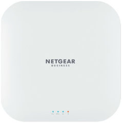 Netgear WAX218-100EUS