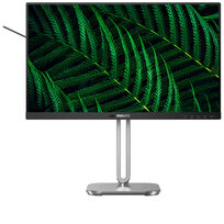 Philips 24B2G5301/00