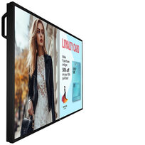 Philips 50BDL6017P/00