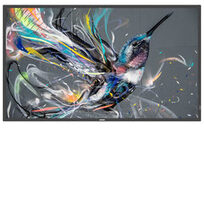 Philips 55BDL3511Q/00