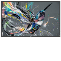 Philips 55BDL3650QE/00