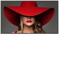 Philips 55BDL4650D/00