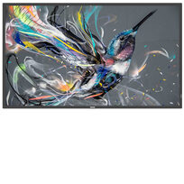 Philips 65BDL3511/Q00