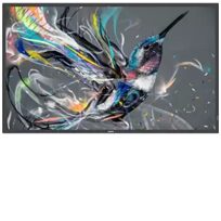 Philips 98BDL3650Q/00