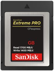 Sandisk SDCFE-064G-GN4NN