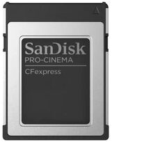 Sandisk SDCFEC-320G-GN4NN