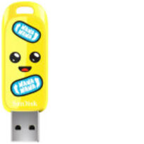 Sandisk SDCZIF-064G-G46