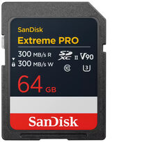 Sandisk SDSDXDM-064G-GN4IN
