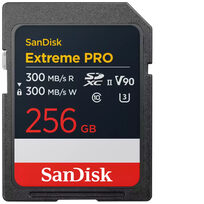 Sandisk SDSDXDM-256G-GN4IN