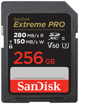 Sandisk SDSDXEP-256G-GN4IN