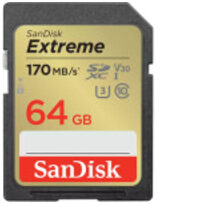 Sandisk SDSDXV2-064G-GNCIN